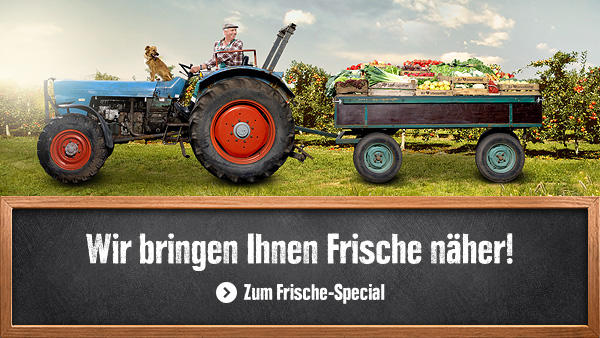 Teaser_Frische_Stage_600x338